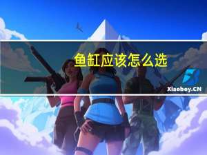 鱼缸应该怎么选