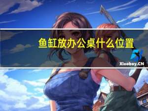 鱼缸放办公桌什么位置