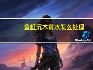 鱼缸沉木黄水怎么处理（鱼缸沉木）