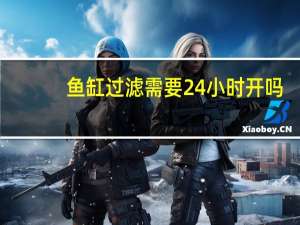 鱼缸过滤需要24小时开吗