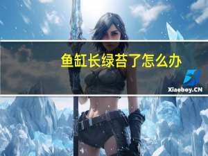 鱼缸长绿苔了怎么办