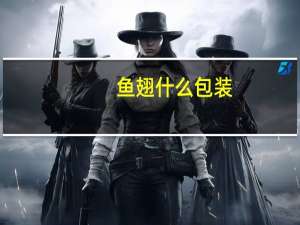 鱼翅什么包装