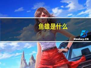 鱼雄是什么
