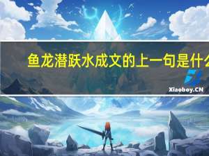 鱼龙潜跃水成文的上一句是什么