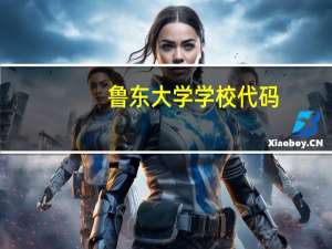 鲁东大学学校代码