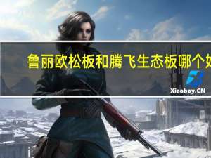鲁丽欧松板和腾飞生态板哪个好