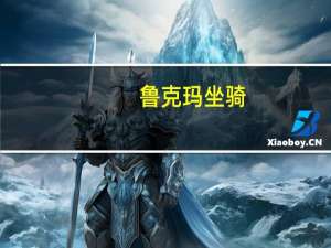 鲁克玛坐骑（鲁克润滑油）