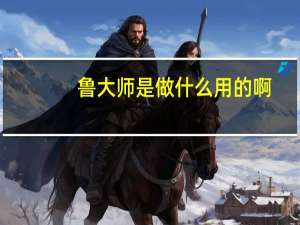 鲁大师是做什么用的啊（鲁大师是做什么用的）