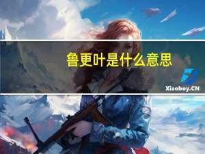 鲁更叶是什么意思