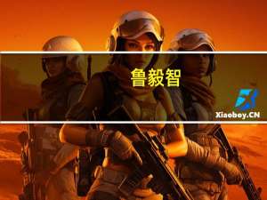 鲁毅智（关于鲁毅智的介绍）