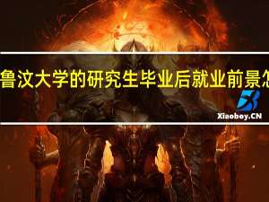 鲁汶大学的研究生毕业后就业前景怎么样