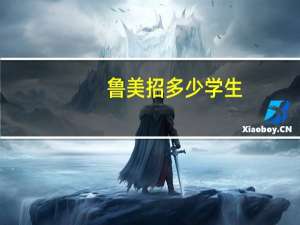 鲁美招多少学生