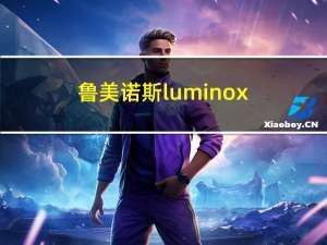 鲁美诺斯luminox（鲁美诺斯）