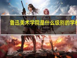鲁迅美术学院是什么级别的学校