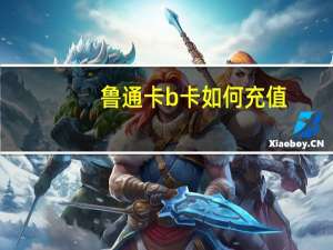 鲁通卡b卡如何充值