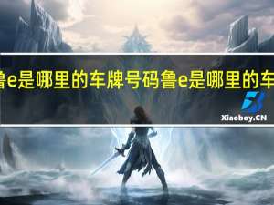 鲁e是哪里的车牌号码 鲁e是哪里的车牌号码