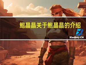 鲍晶晶 关于鲍晶晶的介绍