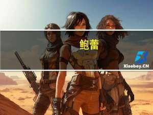 鲍蕾（关于鲍蕾的介绍）