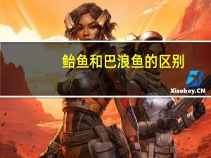 鲐鱼和巴浪鱼的区别