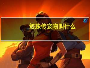 鲛珠传宠物叫什么