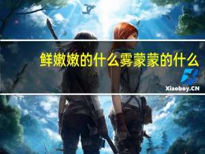 鲜嫩嫩的什么雾蒙蒙的什么（蒙蒙的什么）