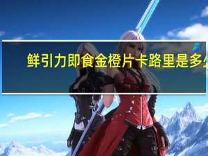 鲜引力 即食金橙片卡路里是多少