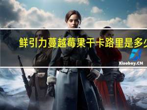 鲜引力 蔓越莓果干卡路里是多少