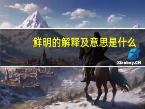 鲜明的解释及意思是什么