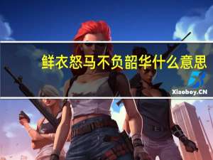 鲜衣怒马不负韶华什么意思