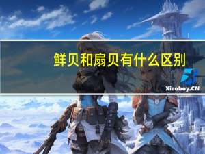 鲜贝和扇贝有什么区别