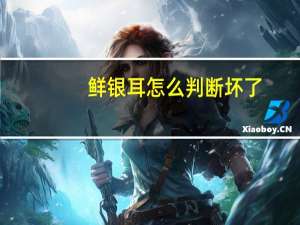 鲜银耳怎么判断坏了
