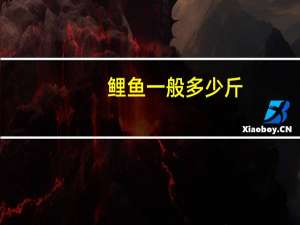鲤鱼一般多少斤