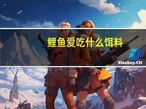 鲤鱼爱吃什么饵料