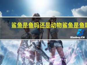 鲨鱼是鱼吗还是动物 鲨鱼是鱼吗