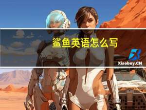 鲨鱼英语怎么写