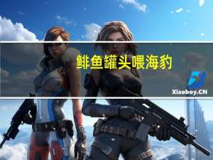 鲱鱼罐头喂海豹（鲱鱼罐头价格）