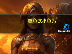 鲶鱼吃小鱼吗