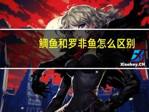 鲷鱼和罗非鱼怎么区别