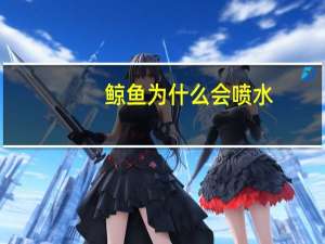 鲸鱼为什么会喷水