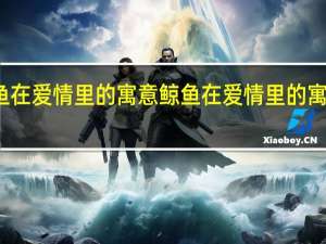 鲸鱼在爱情里的寓意 鲸鱼在爱情里的寓意是什么