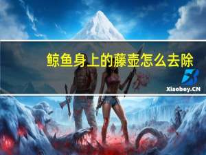 鲸鱼身上的藤壶怎么去除