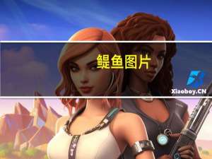鳀鱼图片（鳀鱼）