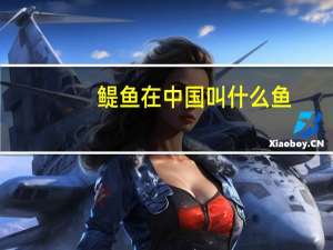 鳀鱼在中国叫什么鱼
