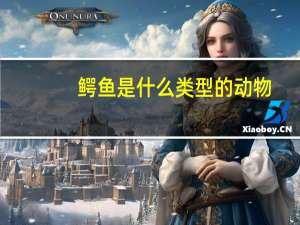 鳄鱼是什么类型的动物
