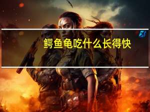 鳄鱼龟吃什么长得快（鳄鱼龟饲养）