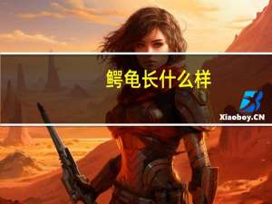 鳄龟长什么样