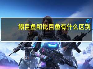 鳎目鱼和比目鱼有什么区别