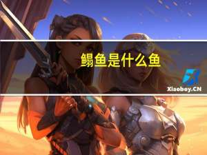 鳎鱼是什么鱼