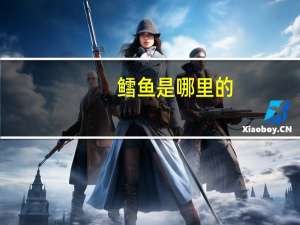 鳕鱼是哪里的