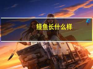 鳗鱼长什么样